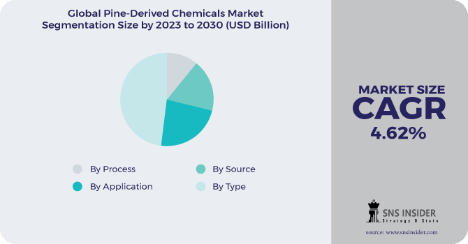 Pine-derived chemicals Market Segmentation Analysis