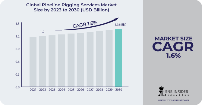 Pipeline Pigging Services Market Revenue Analysis