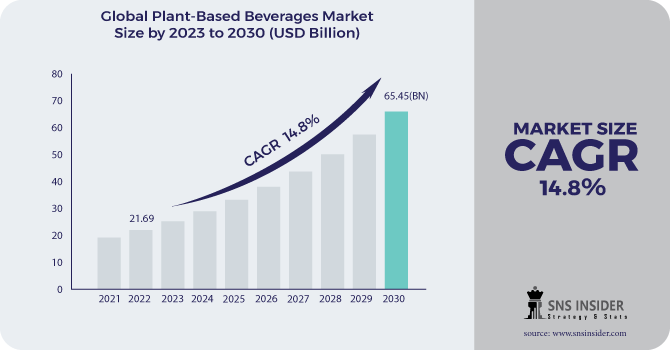 Plant-based Beverages Market Revenue Analysis