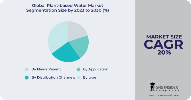 Plant-based Water Market Segmentation Analysis