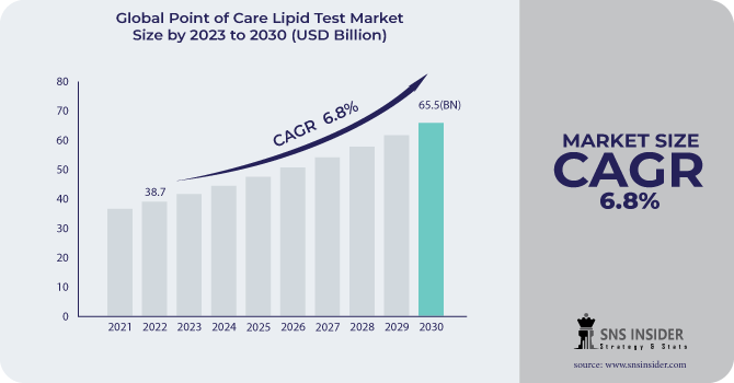 Point of Care Lipid Test Market Revenue Analysis