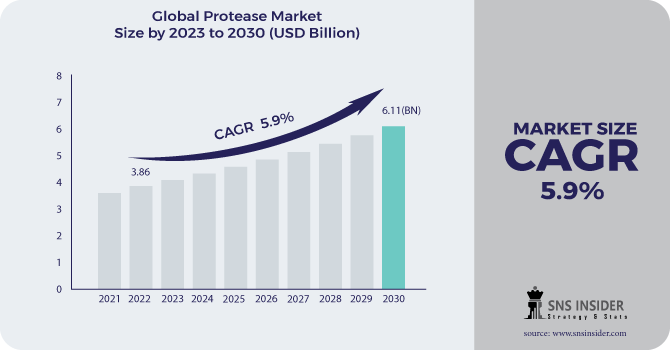 Protease Market Revenue Analysis