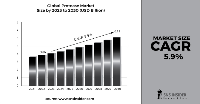 Protease Market Revenue 2030