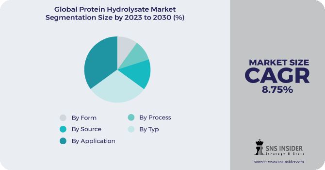 Protein Hydrolysate Market Segmentation Analysis