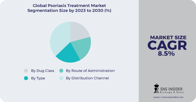 Psoriasis Treatment Market Segmentation Analysis