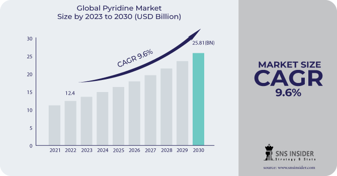 Pyridine Market Revenue Analysis