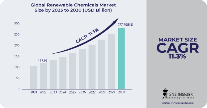 Renewable Chemicals Market Revenue Analysis
