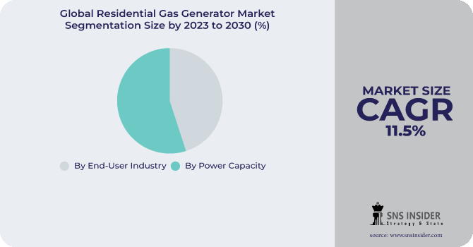 Residential Gas Generator Market Segmentation Analysis