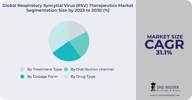 Respiratory Syncytial Virus (RSV) Therapeutics Market Segmentation Analysis
