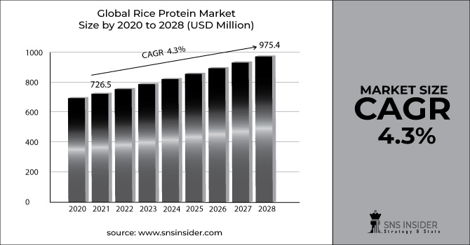 Rice Protein Market Revenue Graph