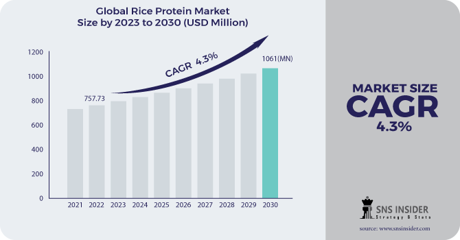 Rice Protein Market Revenue Analysis