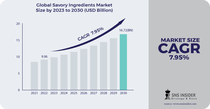 Savory Ingredients Market Revenue Analysis