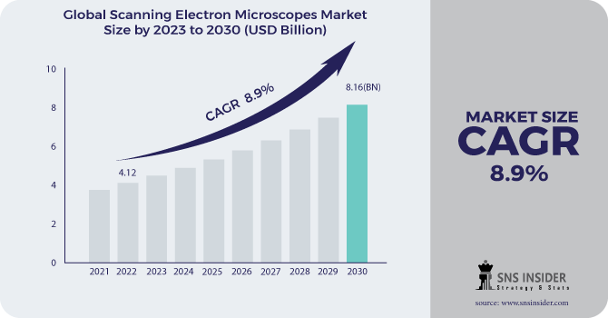 Scanning Electron Microscopes Market Revenue Analysis