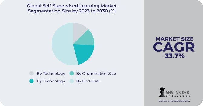 Self-supervised Learning Market Segmentation Analysis