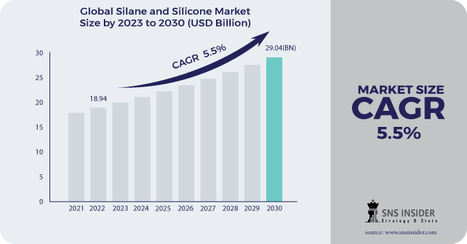 Silane and Silicone Market Revenue Analysis 