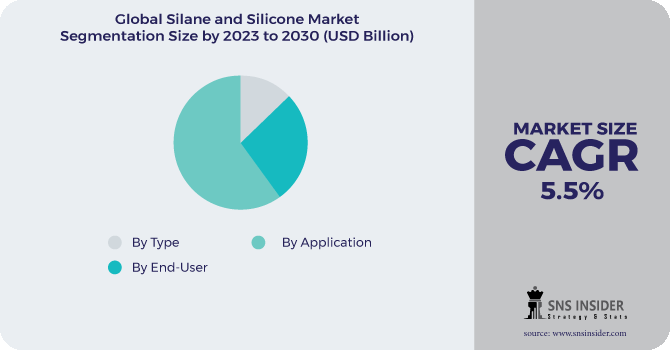 Silane and Silicone Market Segmentation Analysis