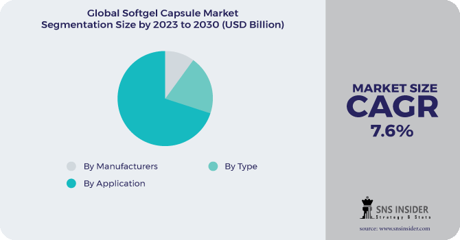 Softgel Capsule Market Segmentation Analysis 