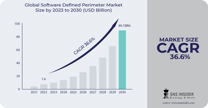 Software Defined Perimeter Market Revenue Analysis