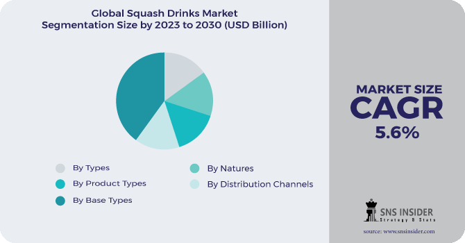Squash Drinks Market Segmentation Analysis