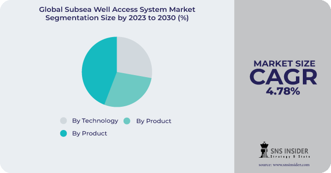 Subsea Well Access System Market Segmentation Analysis