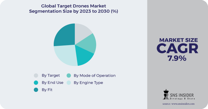 Target Drones Market Segmentation Analysis