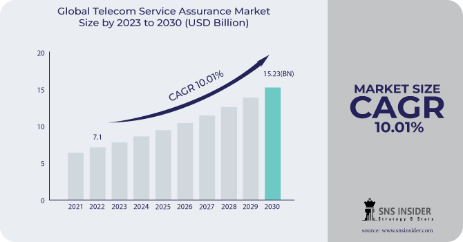 Telecom Service Assurance Market Revenue Analysis