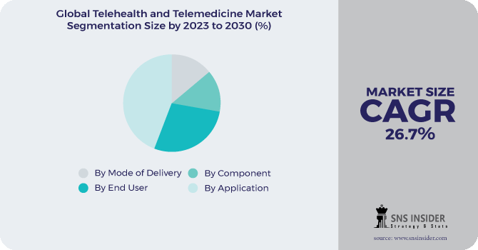 Telehealth and Telemedicine Market Segmentation Analysis