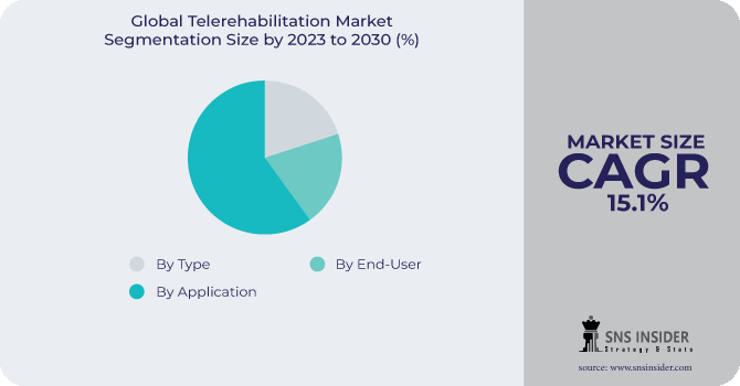 Telerehabilitation Market Segmentation Analysis