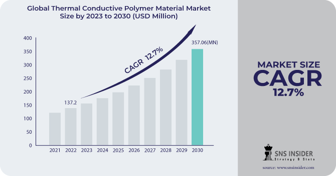 Thermal conductive polymer material Market Revenue Analysis