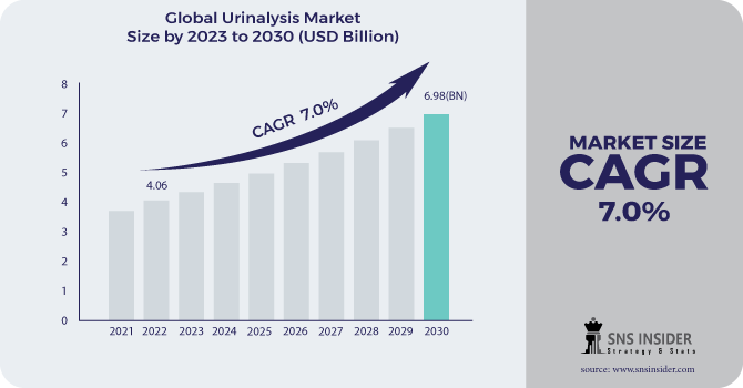 Urinalysis Market Revenue Analysis