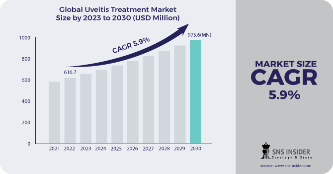 Uveitis Treatment Market Revenue 2030