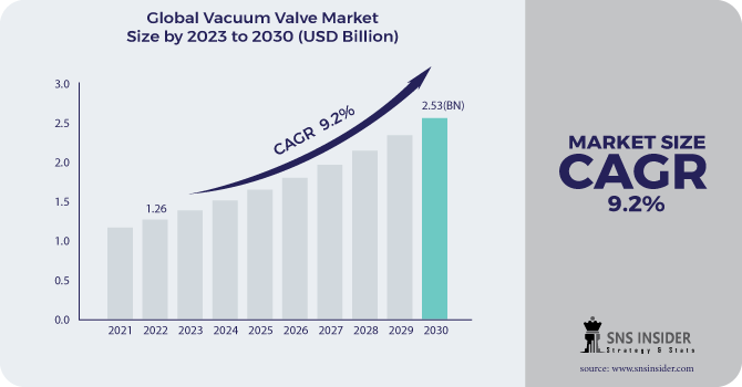 Vacuum Valve Market Revenue Analysis