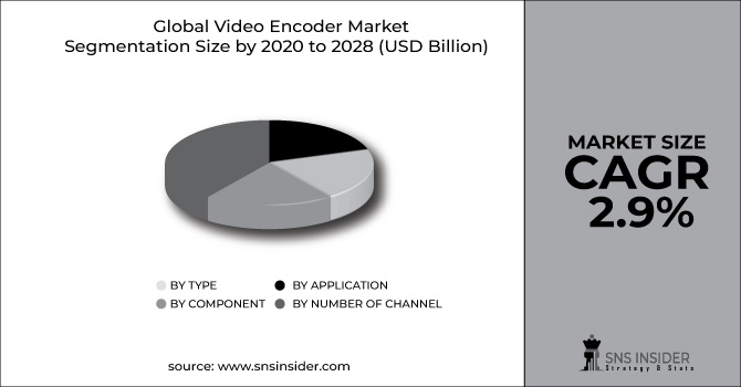 Video Encoder Market Segment Pie Chart