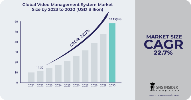 Video Management System Market Revenue Analysis