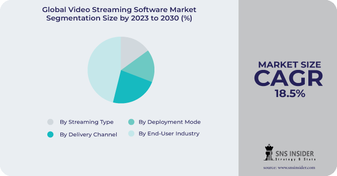 Video Streaming Software Market Segmentation Analysis