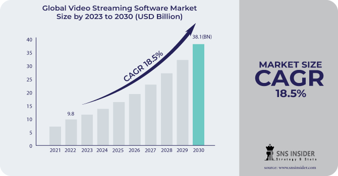 Video Streaming Software Market Revenue Analysis