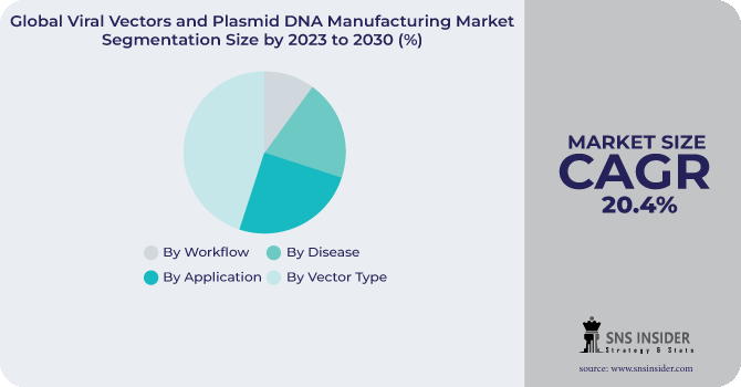 Viral Vectors and Plasmid DNA Manufacturing Market Segmentation Analysis