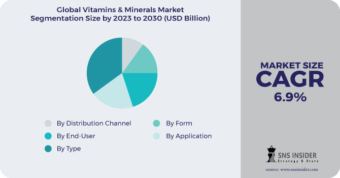 Vitamins & Minerals Market Segmentation Analysis
