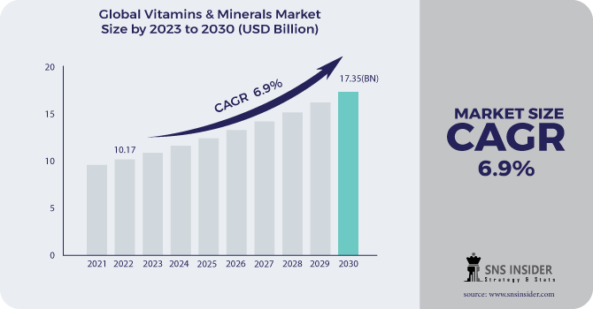 Vitamins & Minerals Market Revenue Analysis 