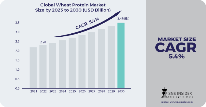 Wheat Protein Market Revenue Analysis