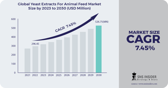 Yeast Extracts for Animal Feed Market Revenue Analysis