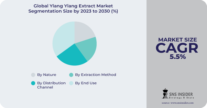 Ylang Ylang Extract Market Segmentation Analysis