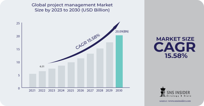 Project Management Software Market Revenue Analysis