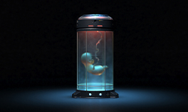 Artificial Womb Research