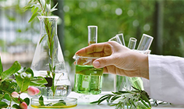 Green Chemicals Industry