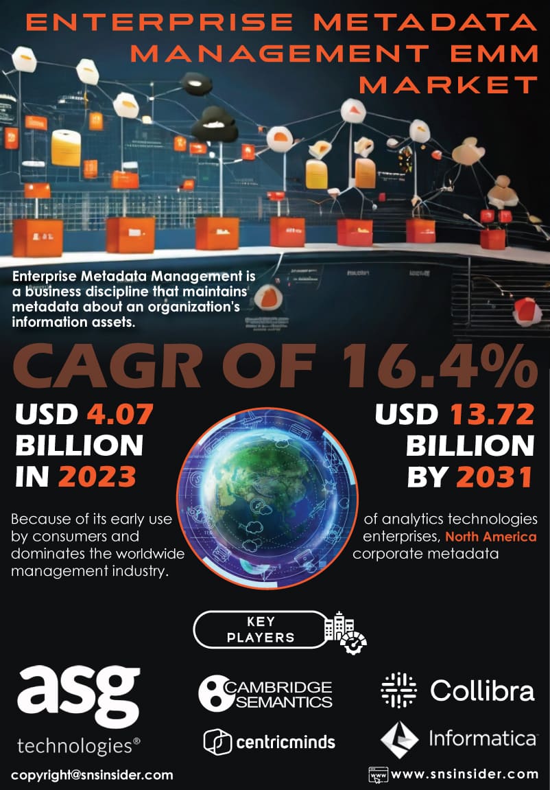 Enterprise Metadata Management Market