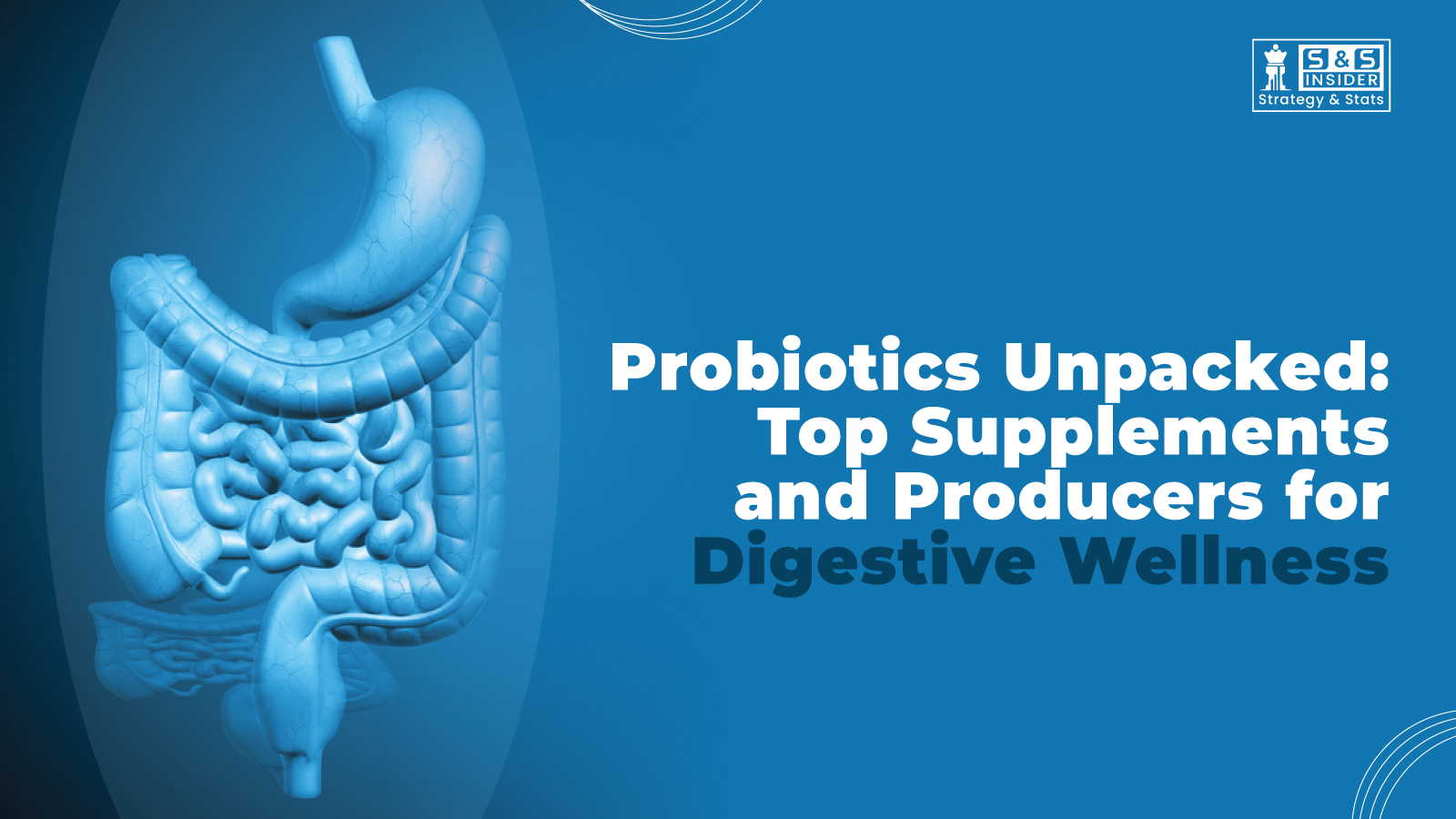 High-quality probiotic supplements for better gut health and immunity