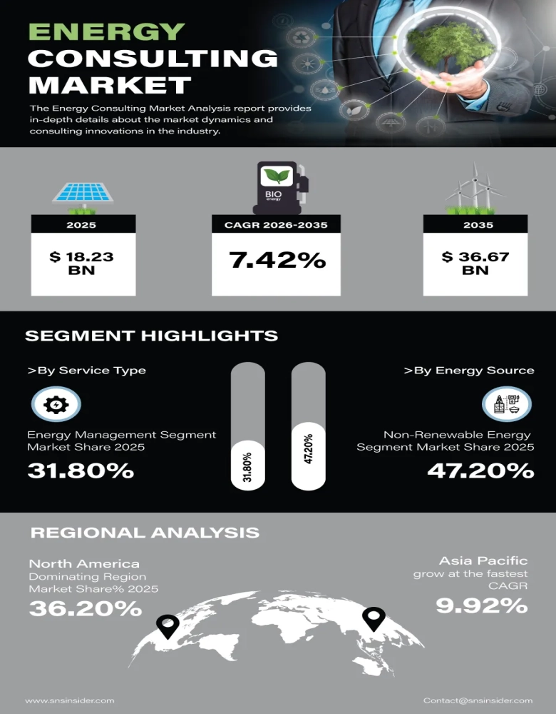 Energy Consulting Market Insights