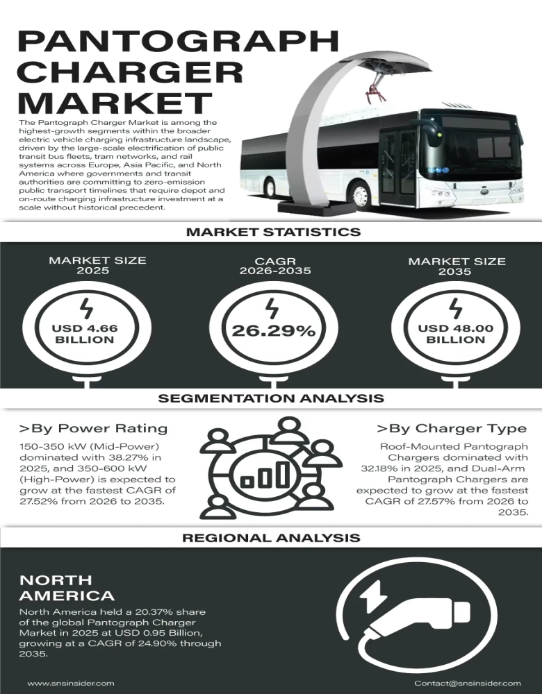 Pantograph Charger Market Infographic