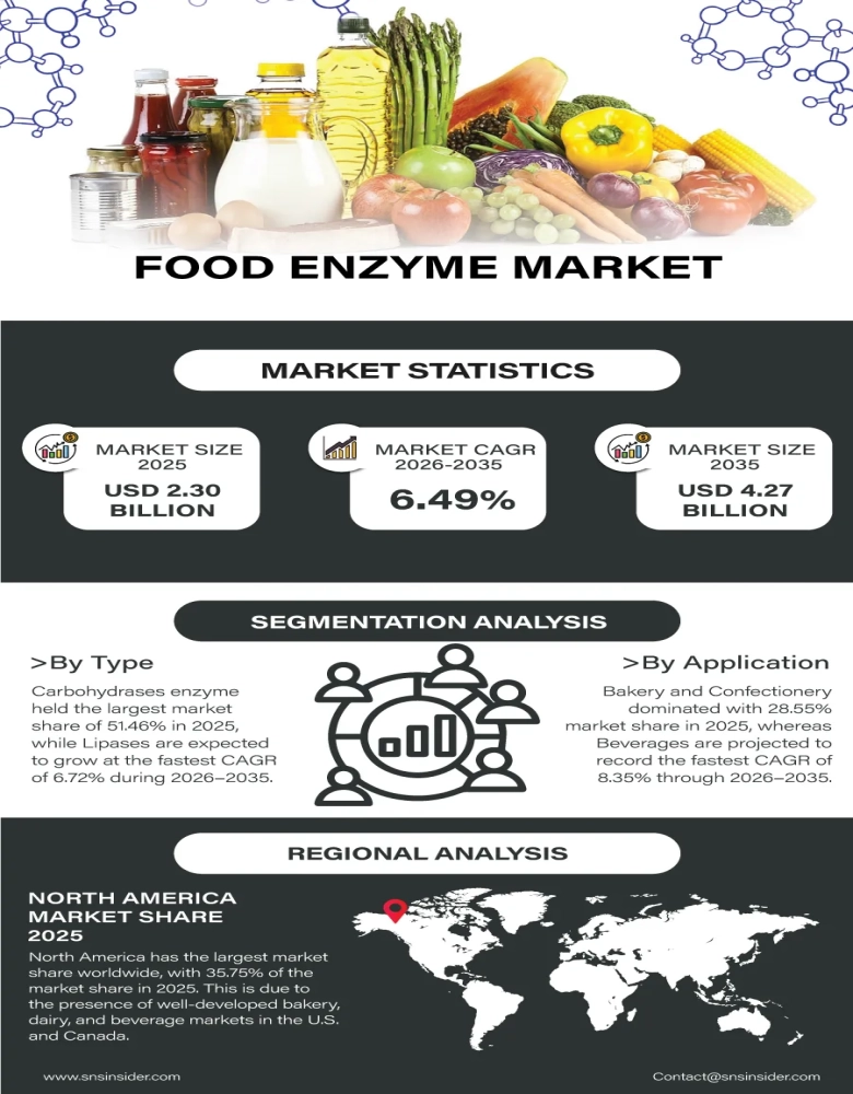 Food Enzyme Market Infographic